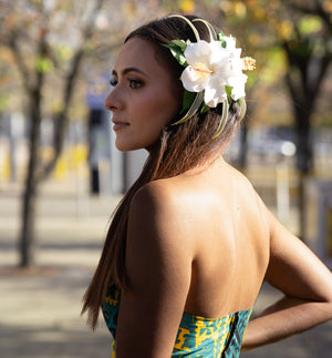 SEI POLYNESIA